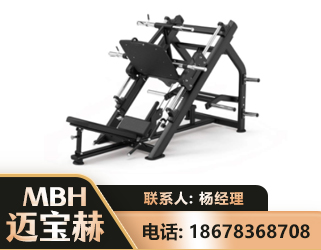 扬州45°倒蹬训练器