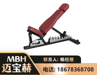 扬州可调哑铃椅